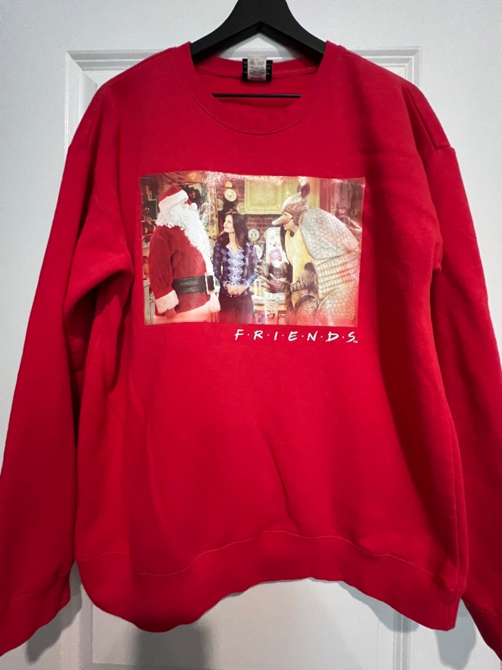 Friends Holiday Sweatshirt - The One with the Armadillo